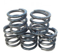 Strongly Coil Spring (1)